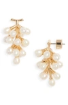 Kenneth Jay Lane Freshwater Pearl Cluster Earrings In Gold