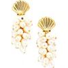 Kenneth Jay Lane Shell & Faux Pearl Drop Earrings In Gold