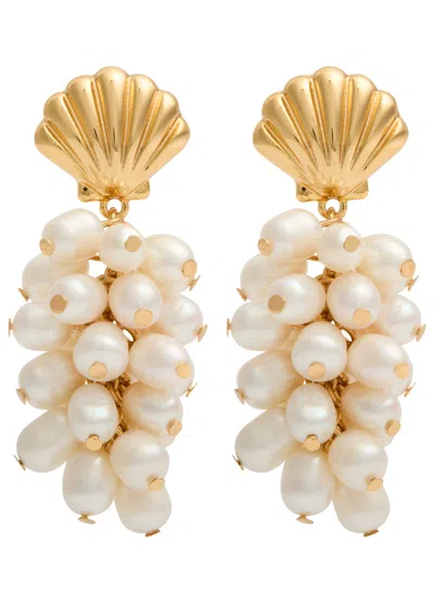 Kenneth Jay Lane Shell Pearl-embellished Drop Earrings In Gold