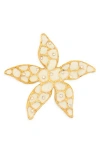 Kenneth Jay Lane Star Brooch In White