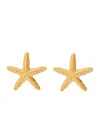 Kenneth Jay Lane Starfish 22kt Gold-plated Drop Earrings In Gold