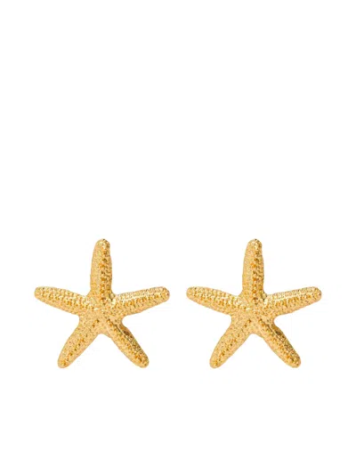 Kenneth Jay Lane Starfish Stud Earrings In Brown