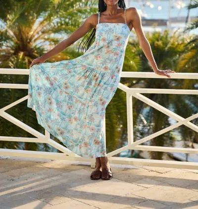 Kenny Flowers The Bvis Maxi Dress In Light Blue In Multi