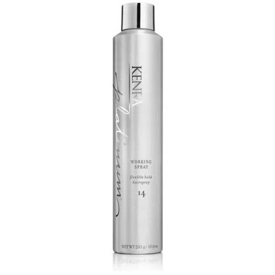 Kenra 14 Working Spray Flexible Hold Hairspray 10 oz In Silver