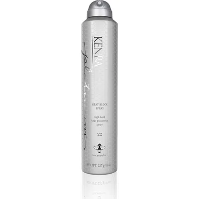 Kenra 22 Platinum Heat Block Spray 8 oz