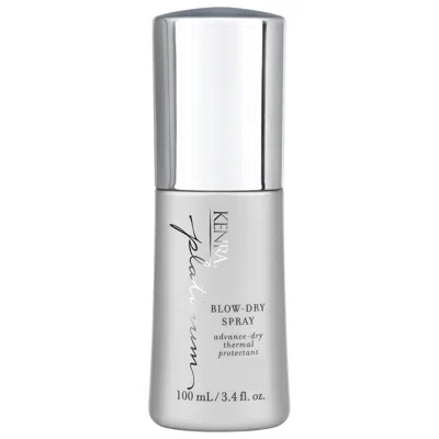 Kenra Professional Blow-dry Spray Frizz Control Heat Protectant 3.4 Oz/100 ml In Transparent