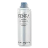 Kenra Professional Travel Size Volume Dry Shampoo