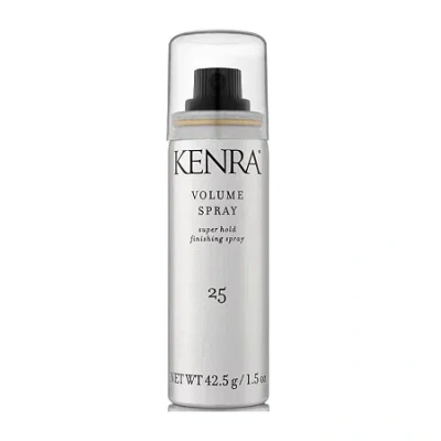 Kenra Volume Low Hair Spray 1.5 Oz. In Gray