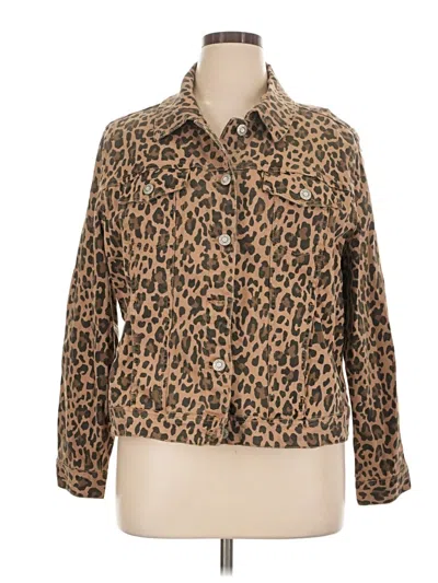 Kensie Jacket In Brown