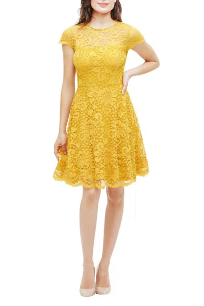 Kensie Lace Fit And Flare Dress In Golden