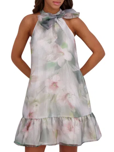 Kensie Women's Floral Organza A-line Minidress