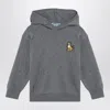 Kenzo Grey Cotton Blend Hooded Jumper In Grey