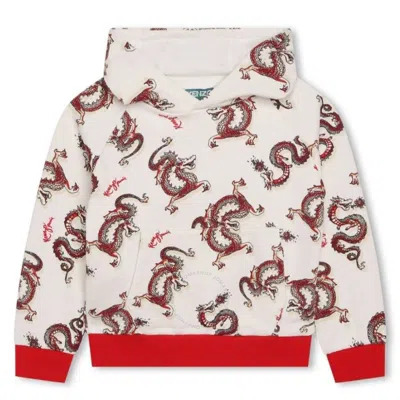 Kenzo Kids Dragons Print Cotton Hoodie In Multi