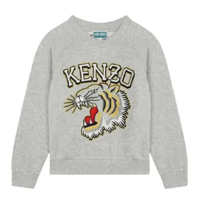 Kenzo Kids Long Sleeve Pull Over Sweater In Gray