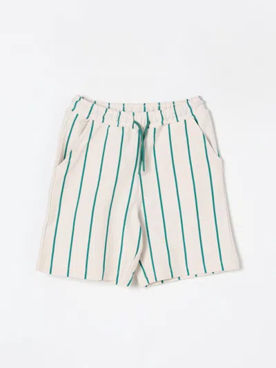 Kenzo Shorts  Kids Kids Color Green In Grün
