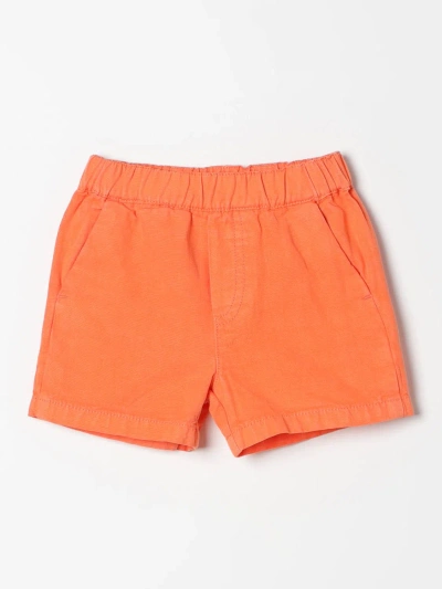 Kenzo Shorts  Kids Kids Color Red