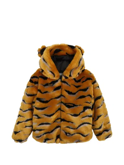 Kenzo Kids Coat Kids Color Brown