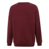 Kenzo (wmns)  Gold Tiger Round Neck Raglan Sweater 'dark Red'