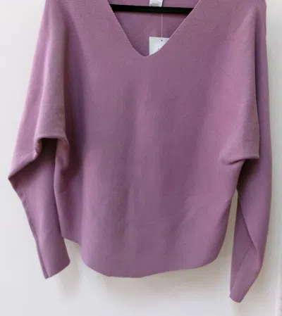 Keren Hart Women's V Neck Sweater In Plum In Purple