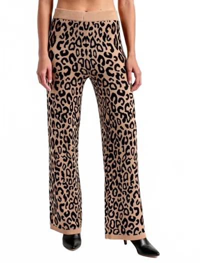 Kerisma Leopard Knit Pants In Brown