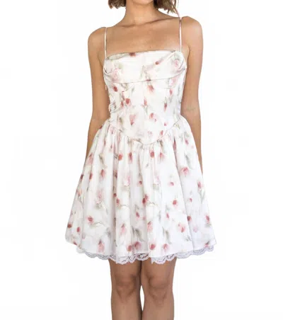 Kestan Luca Floral Mini Dress In Pink In Multi