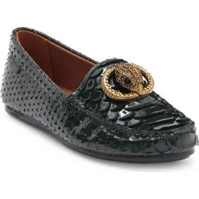 Kg Kurt Geiger Chelsea Scale Loafer In Green
