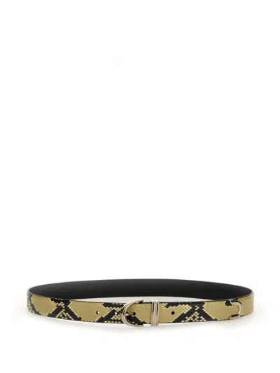 Khaite Bambi Belt In Multi