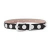 Khaite Benny Studded Suede Belt In Black