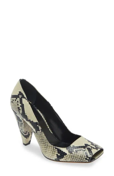 Khaite Eva Snake-effect Leather Pumps In Animal Print