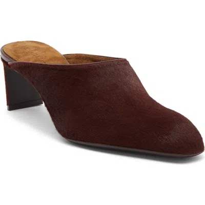 Khaite Colt Genuine Calf Hair Mule In Brown