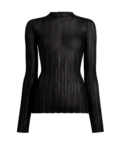 Khaite Crew Neck Long Sleeve Top In Black