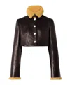 Khaite Jodie Cropped Shearling-trimmed Leather Jacket In Brown
