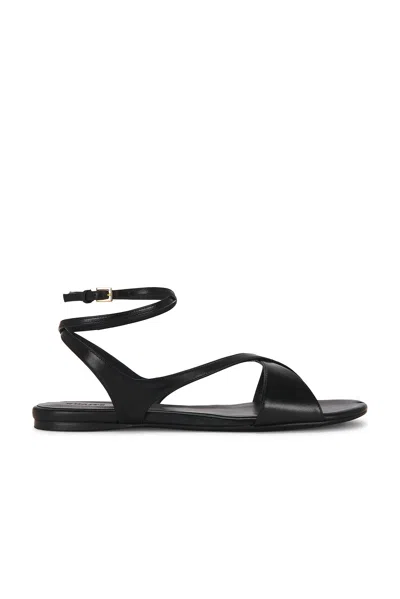 Khaite Liria Ankle Strap Flat Sandal In Black