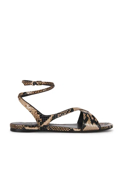Khaite Liria Ankle Strap Flat Sandal In Multi