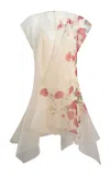 Khaite Merith Printed Silk-organza Mini Dress