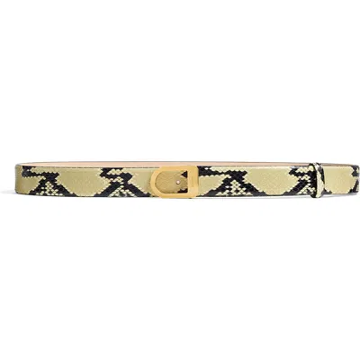 Khaite Saddle Snakeskin Embossed Leather Belt In Neutral