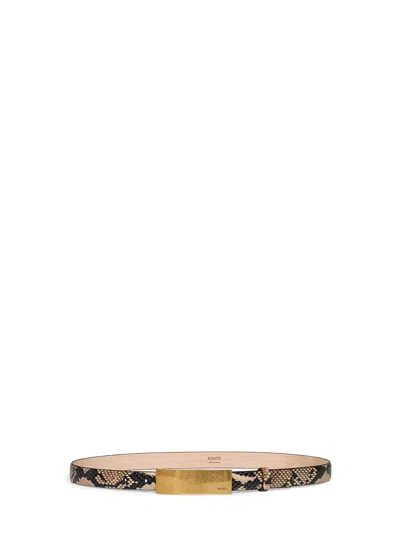 Khaite Taupe Python-embossed Leather Berlin Belt With Antique Gold Buckle In Brown