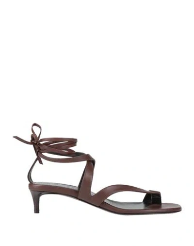 Khaite Woman Thong Sandal Dark Brown Size 10 Leather In Neutral