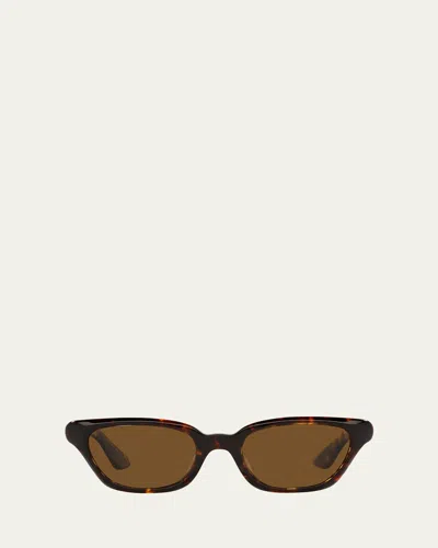 Khaite 1983c Tortoise Acetate & Crystal Cat-eye Sunglasses In Dark Tortoise