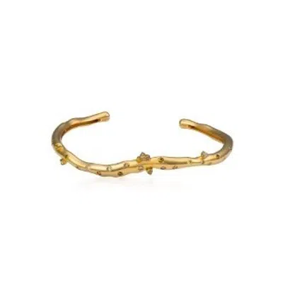 Khepri Gifts For Her In Gold