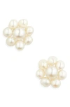 Ki-ele Sarah Pearl Cluster Stud Earrings