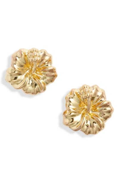 Kiara By Ki-ele Aloha Hibiscus Stud Earrings In Gold