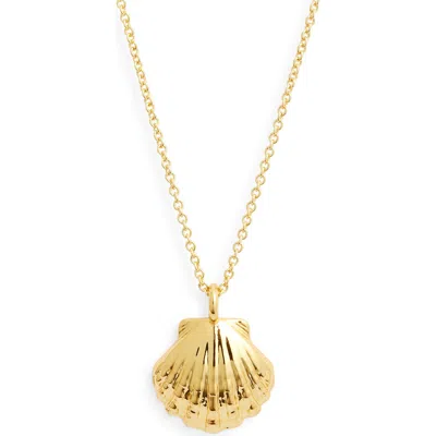 Kiara By Ki-ele Golden Sunrise Shell Pendant Necklace