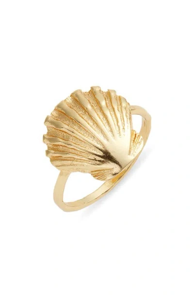 Kiara By Ki-ele Golden Sunrise Shell Ring