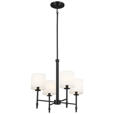 Kichler Ali 20" Wide Black 4-light Chandelier