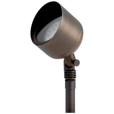 Kichler Rose 5 3/4" High Centennial Brass Outdoor Spot Light