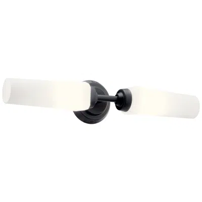 Kichler Truby 20 3/4" Wide 2-light Modern Bath Vanity Wall Light