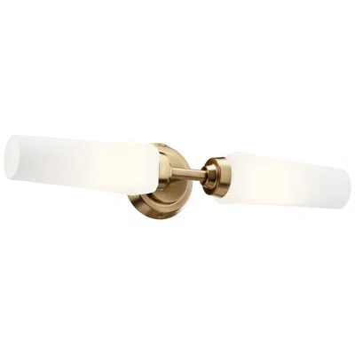 Kichler Truby 20 3/4" Wide Champagne Bronze 2-light Bath Light