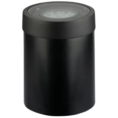 Kichler Well Light With Brass Trim Par36 (drop-in) In Black Brass