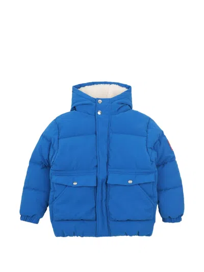 Kids Around Kids' Hooded Padded Jacket In Blue